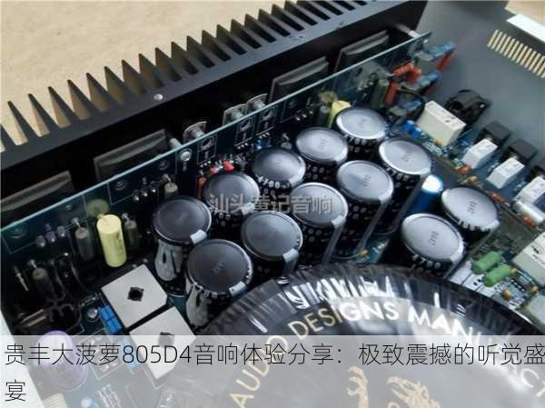 贵丰大菠萝805D4音响体验分享：极致震撼的听觉盛宴