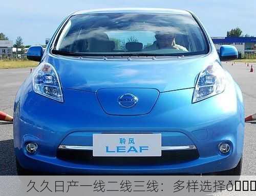 久久日产一线二线三线：多样选择🚗