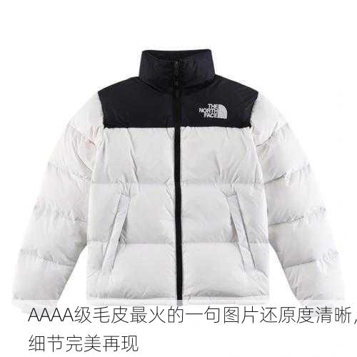 AAAA级毛皮最火的一句图片还原度清晰，细节完美再现