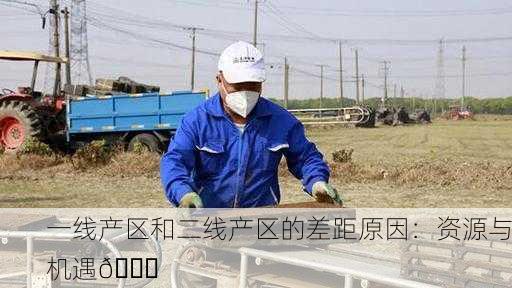 一线产区和二线产区的差距原因：资源与机遇🔍