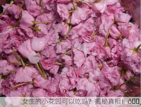 女生的小花园可以吃吗？揭秘真相！🌸