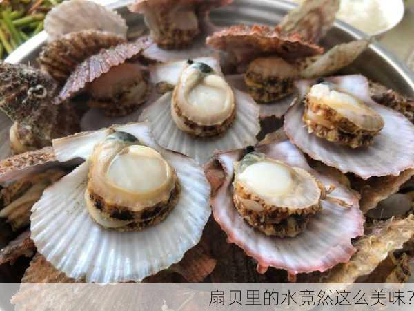 扇贝里的水竟然这么美味？