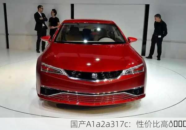 国产A1a2a317c：性价比高👍
