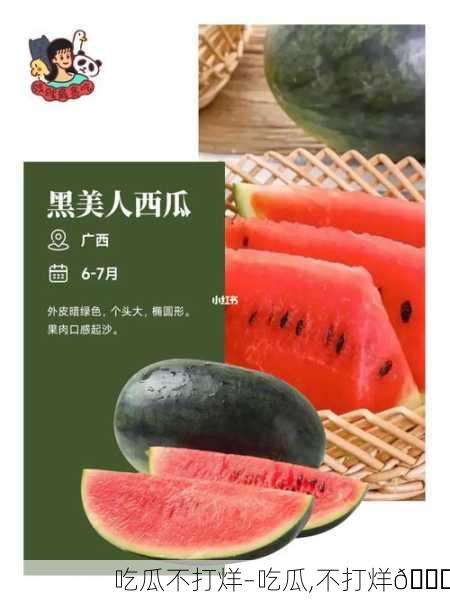 吃瓜不打烊–吃瓜,不打烊🍉