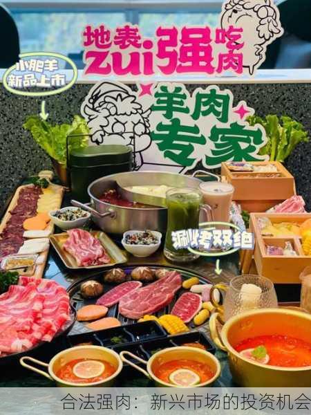 合法强肉：新兴市场的投资机会