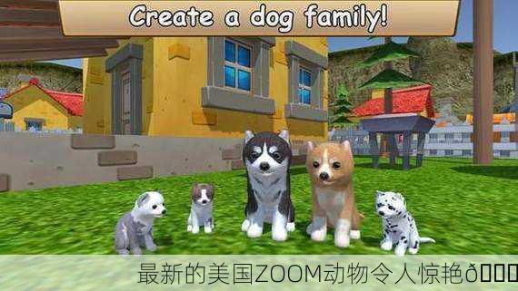 最新的美国ZOOM动物令人惊艳🌟