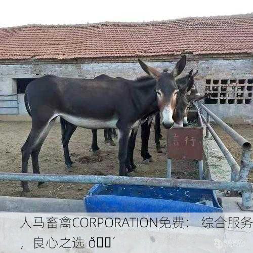 人马畜禽CORPORATION免费： 综合服务，良心之选 🐴