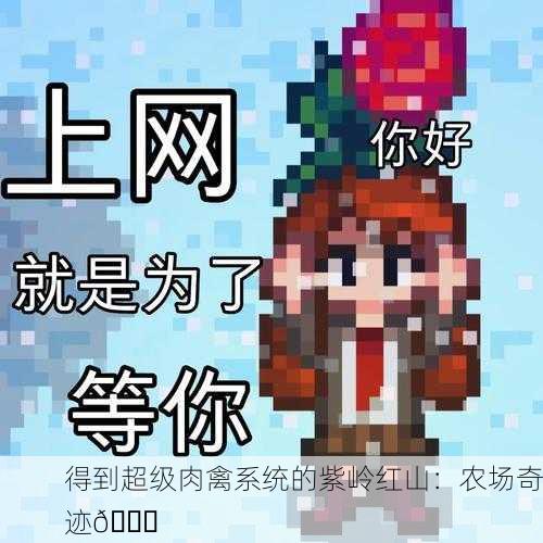 得到超级肉禽系统的紫岭红山：农场奇迹🐔