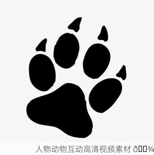 人物动物互动高清视频素材 🐾