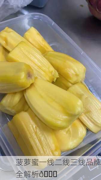 菠萝蜜一线二线三线品牌全解析🌟
