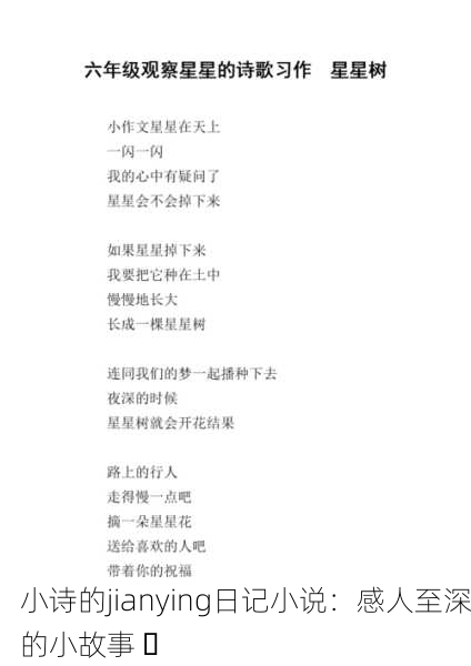 小诗的jianying日记小说：感人至深的小故事 ✨