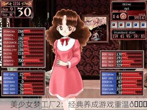美少女梦工厂2：经典养成游戏重温🌟