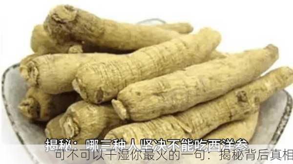 可不可以干湿你最火的一句：揭秘背后真相