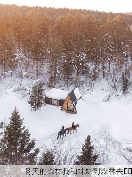 冬天的森林我和妹妹到森林去❄️