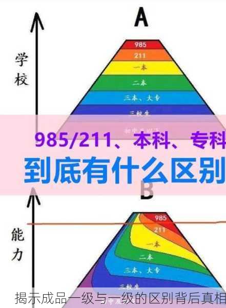 揭示成品一级与一级的区别背后真相