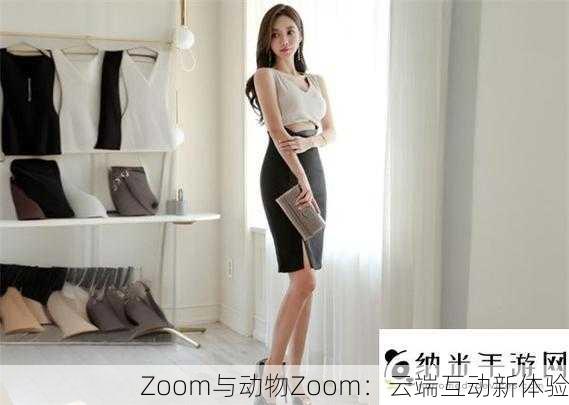 Zoom与动物Zoom：云端互动新体验