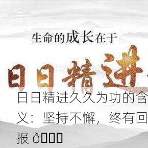 日日精进久久为功的含义：坚持不懈，终有回报 🌟