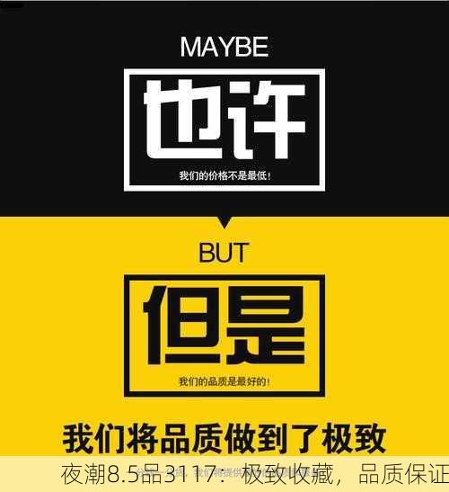 夜潮8.5品3117：极致收藏，品质保证