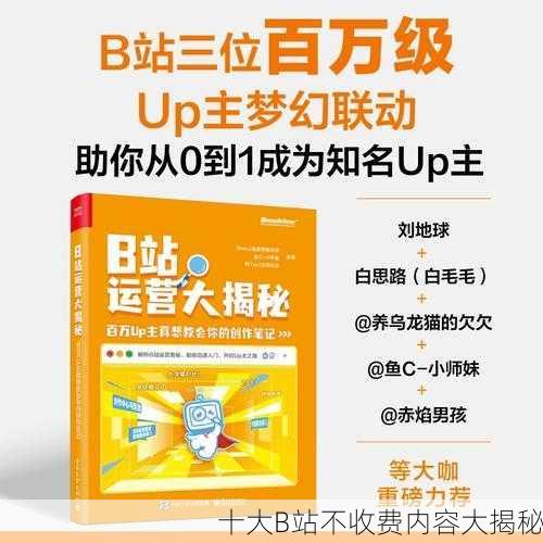 十大B站不收费内容大揭秘