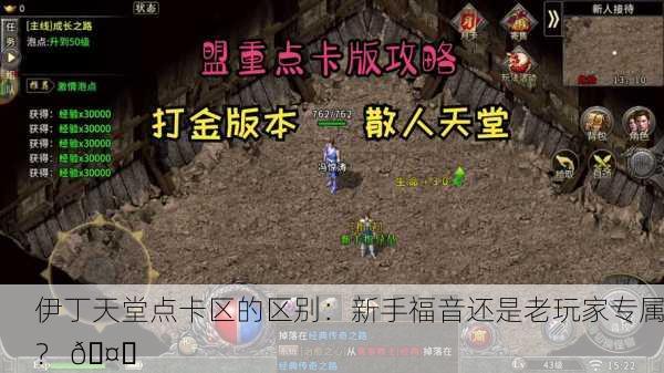 伊丁天堂点卡区的区别：新手福音还是老玩家专属？ 🤔