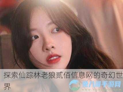 探索仙踪林老狼贰佰信息网的奇幻世界