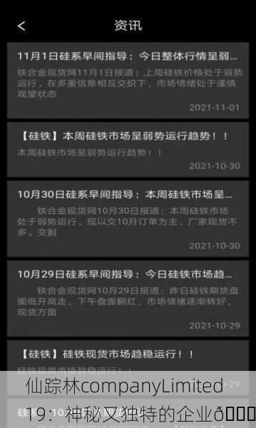 仙踪林companyLimited19：神秘又独特的企业🌟