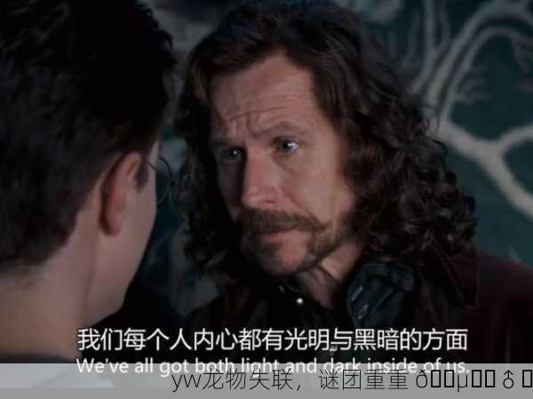 yw龙物失联，谜团重重 🕵️‍♂️