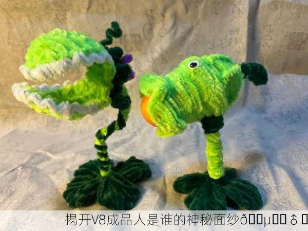 揭开V8成品人是谁的神秘面纱🕵️‍♂️