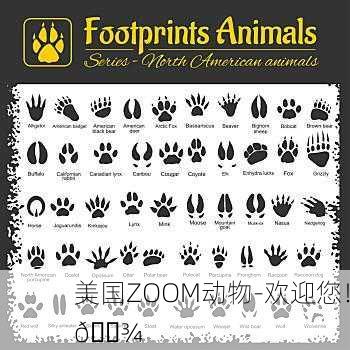 美国ZOOM动物-欢迎您！🐾