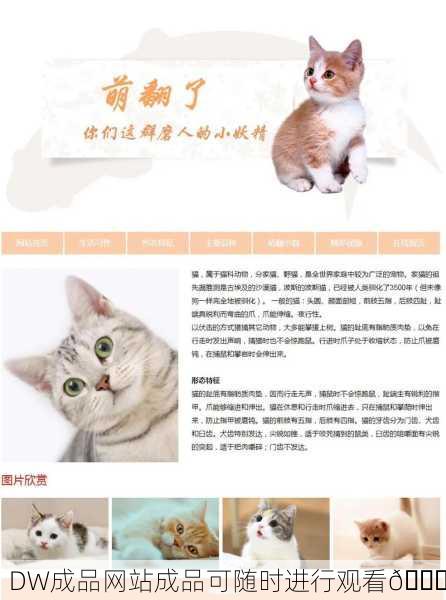 DW成品网站成品可随时进行观看🔍