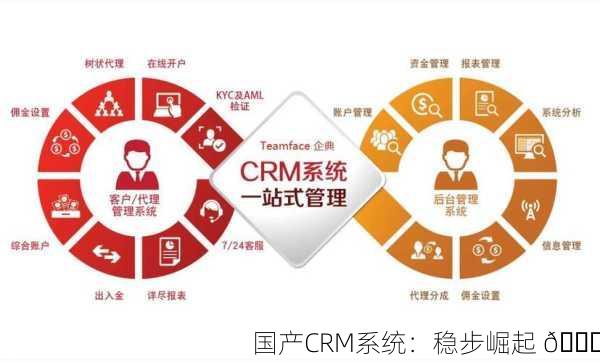 国产CRM系统：稳步崛起 🚀