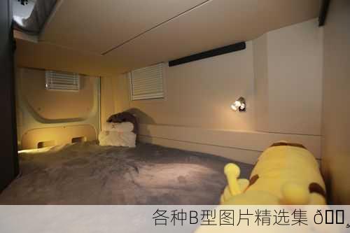 各种B型图片精选集 📸