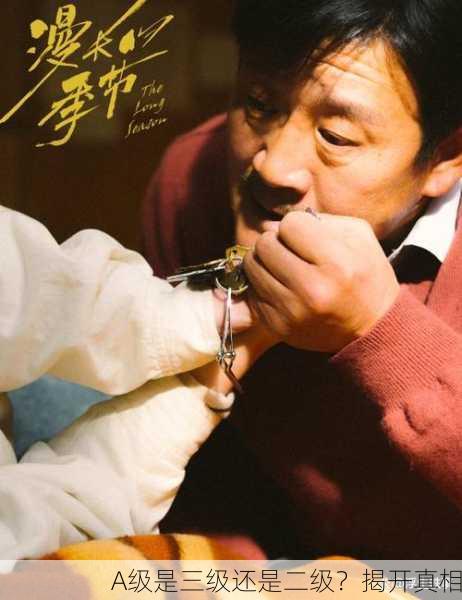 A级是三级还是二级？揭开真相