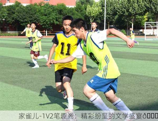 家雀儿-1V2笔趣阁：精彩纷呈的文学盛宴📚
