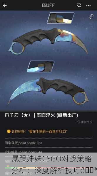 暴躁妹妹CSGO对战策略分析：深度解析技巧🎮