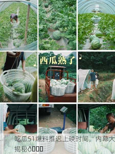 吃瓜51爆料推迟上映时间，内幕大揭秘🍉