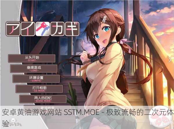 安卓黄油游戏网站 SSTM.MOE - 极致流畅的二次元体验