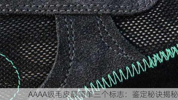 AAAA级毛皮最简单三个标志：鉴定秘诀揭秘