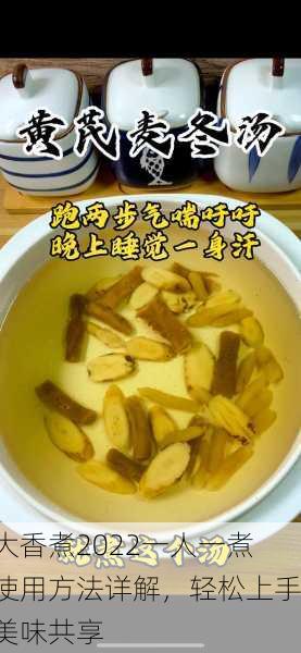大香煮2022一人一煮使用方法详解，轻松上手美味共享