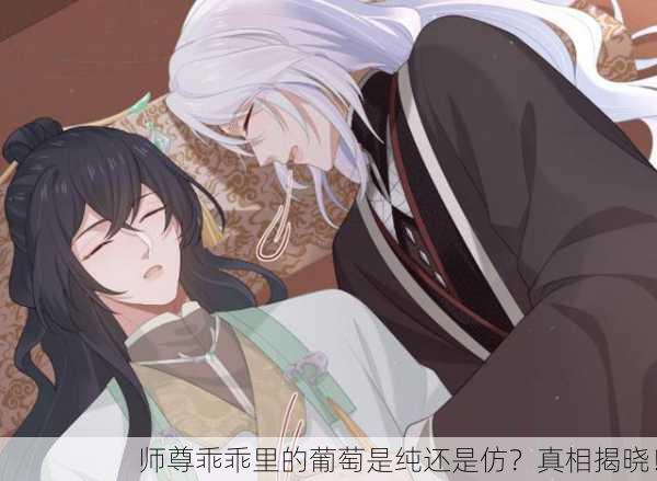 师尊乖乖里的葡萄是纯还是仿？真相揭晓！