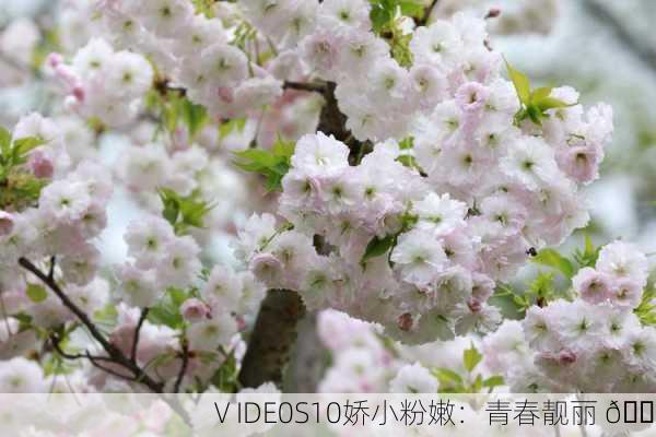 ⅤIDE0S10娇小粉嫩：青春靓丽 🌸