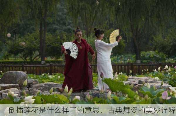 倒插莲花是什么样子的意思，古典舞姿的美妙诠释