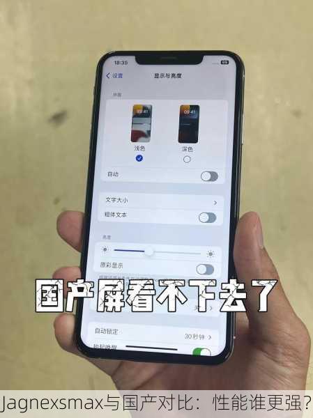 Jagnexsmax与国产对比：性能谁更强？