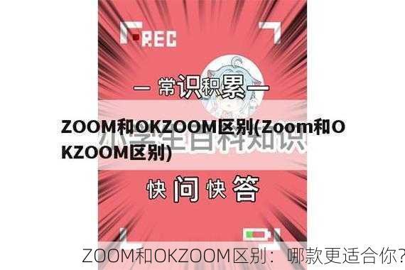 ZOOM和OKZOOM区别：哪款更适合你？