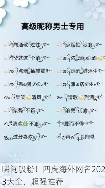 瞬间吸粉！四虎海外网名2023大全，超强推荐