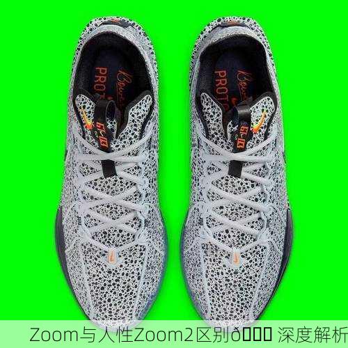 Zoom与人性Zoom2区别🔍 深度解析