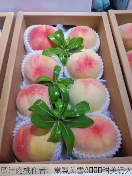 蜜汁肉桃作者：棠梨煎雪🍑甜美诱人