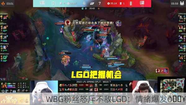 WBG粉丝怒斥不敌LGD：情绪爆发💥