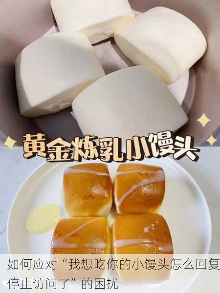 如何应对“我想吃你的小馒头怎么回复停止访问了”的困扰