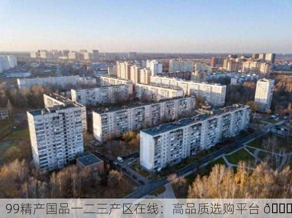 99精产国品一二三产区在线：高品质选购平台 🌟